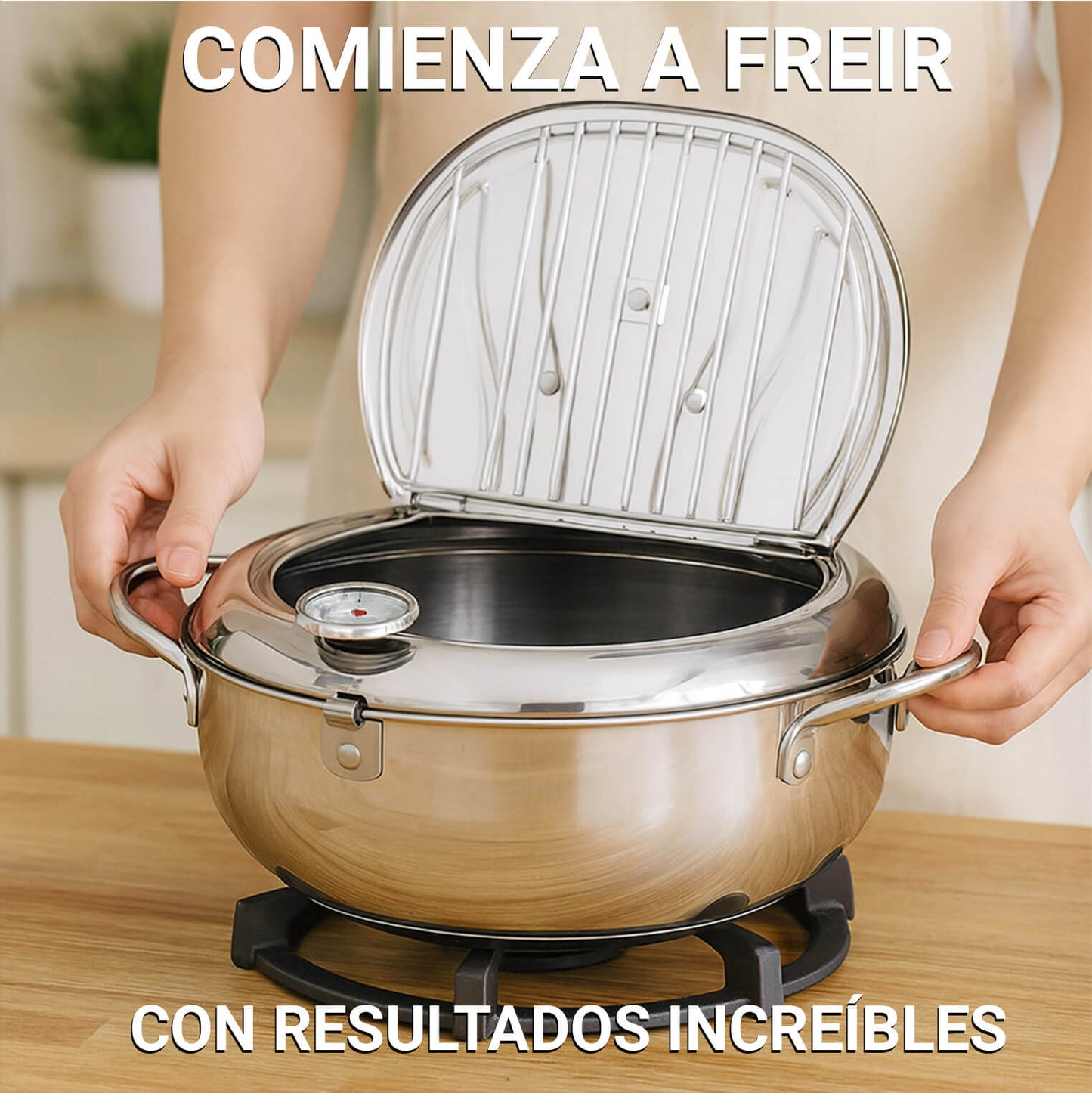 FREIDORA JAPONESA - El secreto de freír a la perfección.