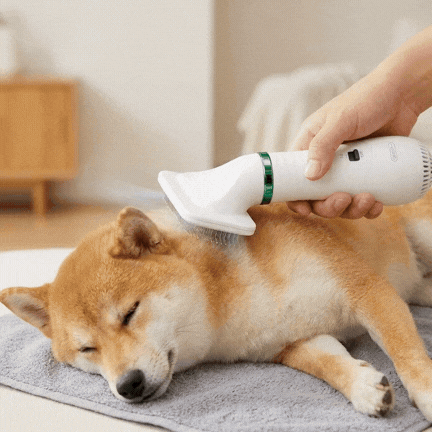 PET DRY BRUSH PRO® CEPILLO Y SECADOR DE MASCOTAS 2 EN 1 ¡No dejes a tu mascota húmeda!