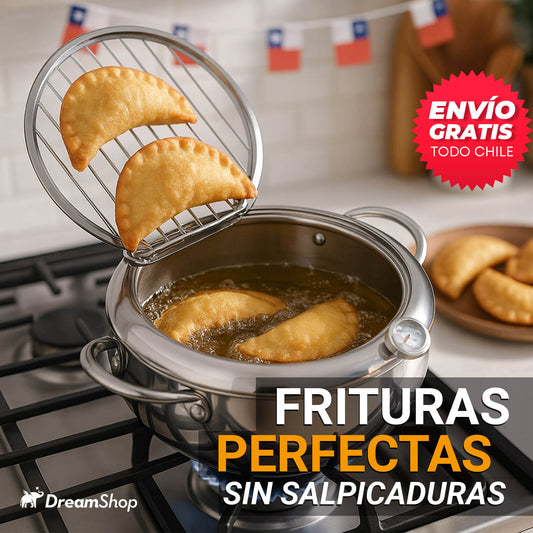 FREIDORA JAPONESA - El secreto de freír a la perfección.